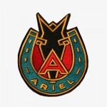 patch_ariel